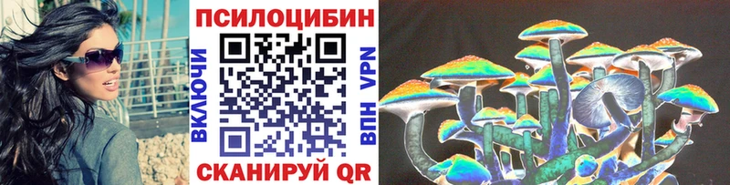 Псилоцибиновые грибы мицелий  закладка  гидра онион  Корсаков 